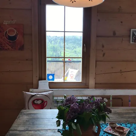 Ferienhaus Dom Kawa Na Kotarzu *