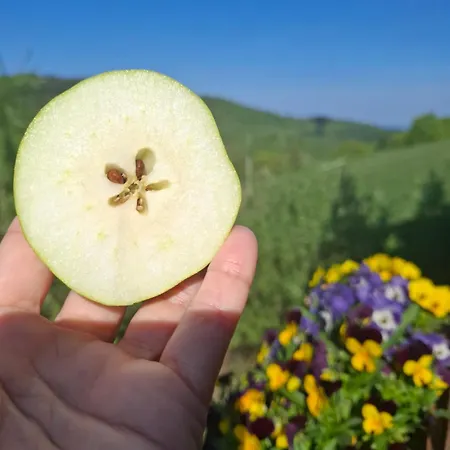 Dom Kawa Na Kotarzu ブレンナ