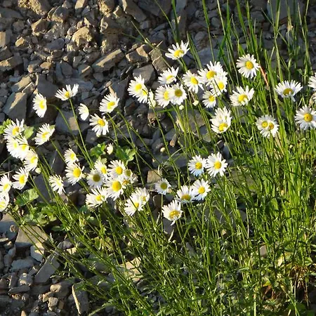 Hébergement de vacances Dom Kawa Na Kotarzu *