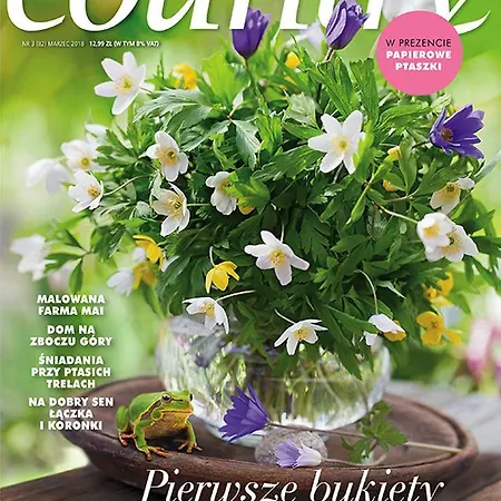 Dom Kawa Na Kotarzu ブレンナ