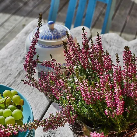 Dom Kawa Na Kotarzu 別荘