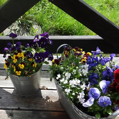 Dom Kawa Na Kotarzu * ブレンナ