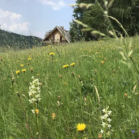 Dom Kawa Na Kotarzu *