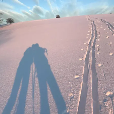 別荘 Dom Kawa Na Kotarzu ブレンナ