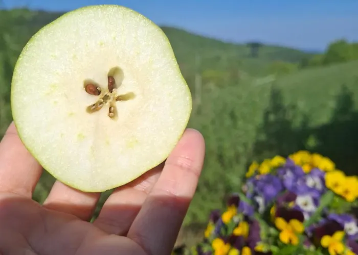 Dom Kawa Na Kotarzu Brenna
