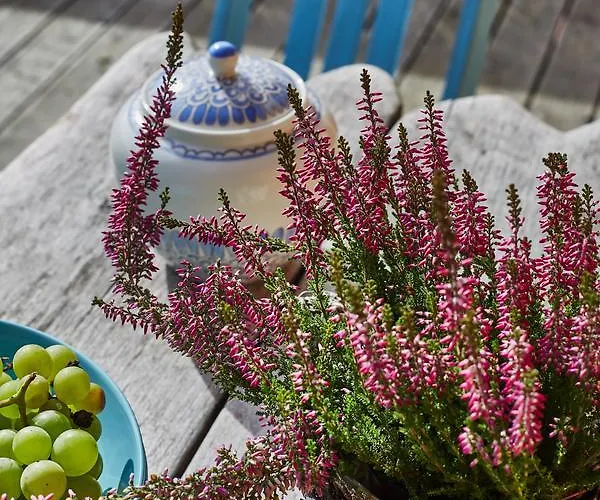 Dom Kawa Na Kotarzu Holiday home