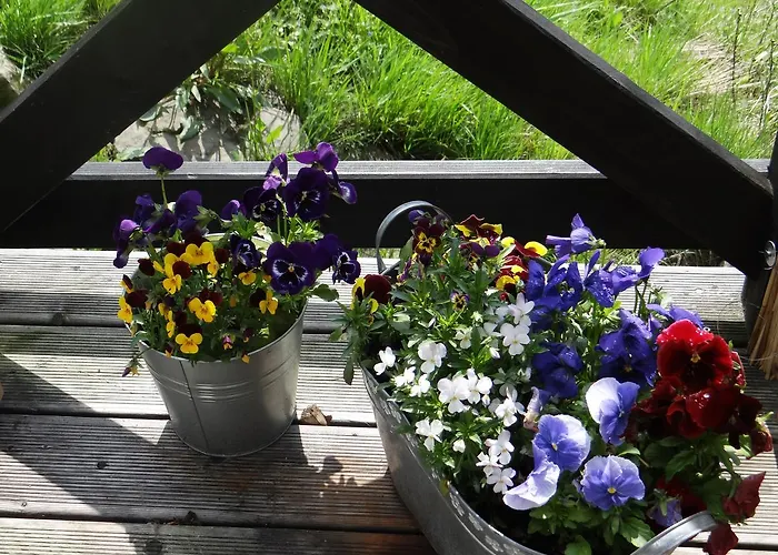 Dom Kawa Na Kotarzu * Brenna