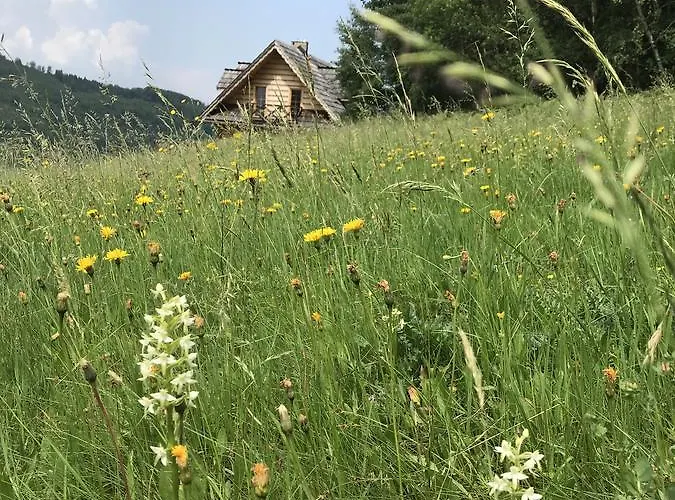 Dom Kawa Na Kotarzu *